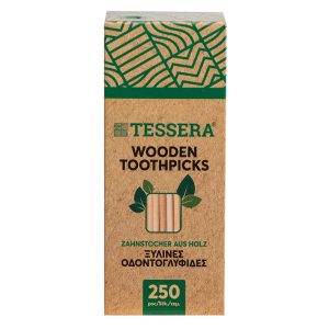 Tessera Wooden Toothpicks in Kraft Paper Box Pack of 250