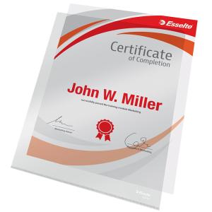 Esselte PVC Folders A4 0,15mm Pack of 25 Clear